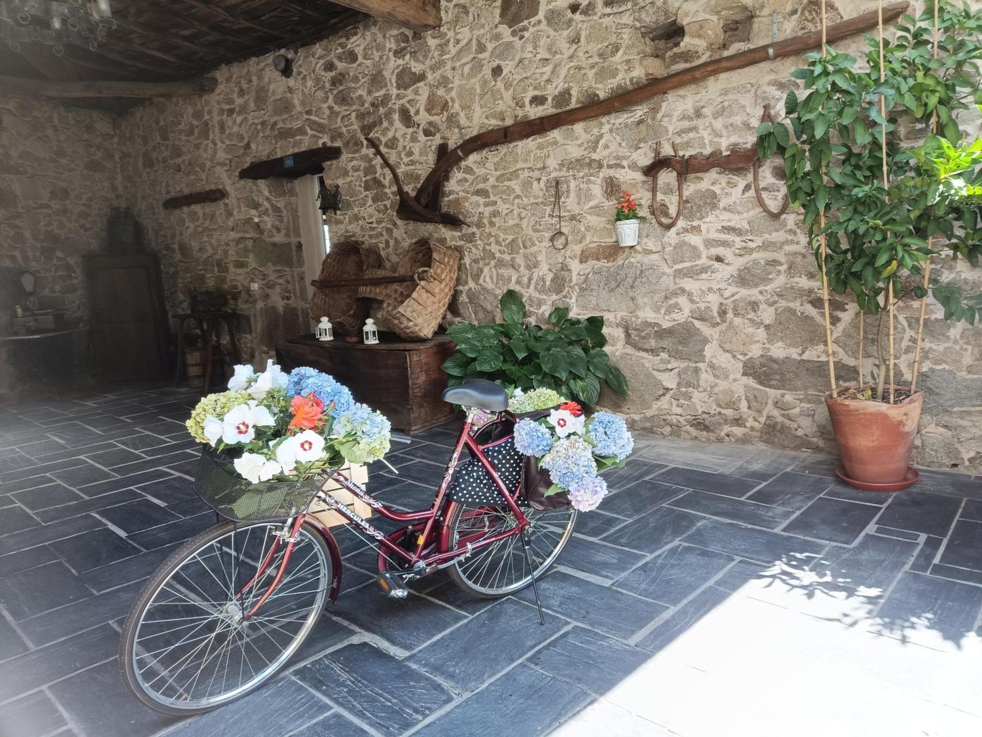 Casa Dos Muros Y Actividades En La Ribeira Sacra Casa rural Pantón